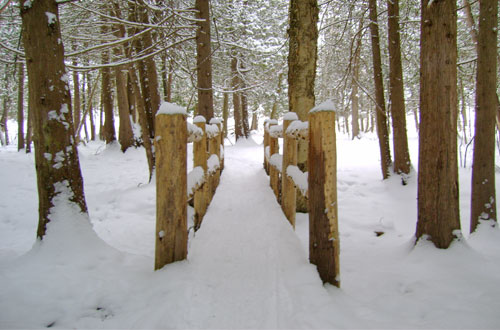 Winter Hiking in Traverse City